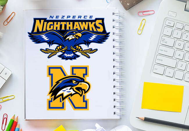 School Mascot Design: Nezperce Night Hawks