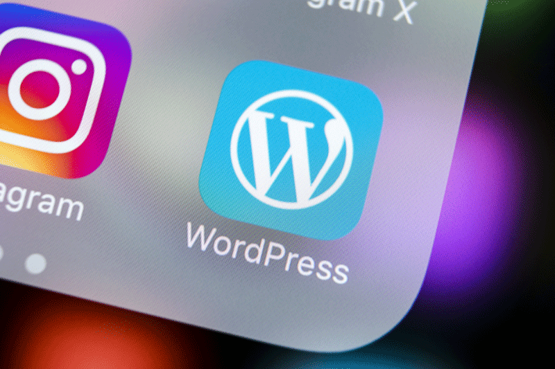 Image of the WordPress logo