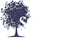 School Webmasters - Your School's Communication Resource