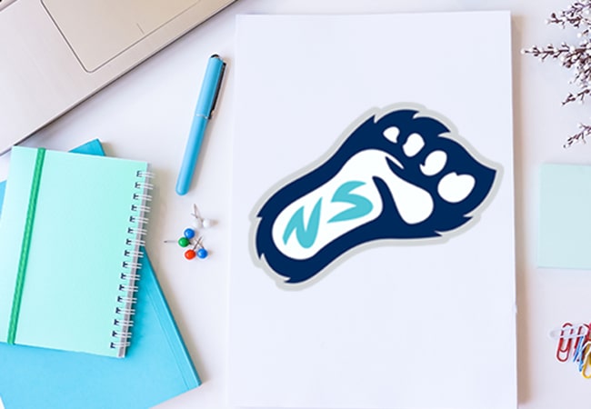 School Logo Design: New Summit Charter Academy